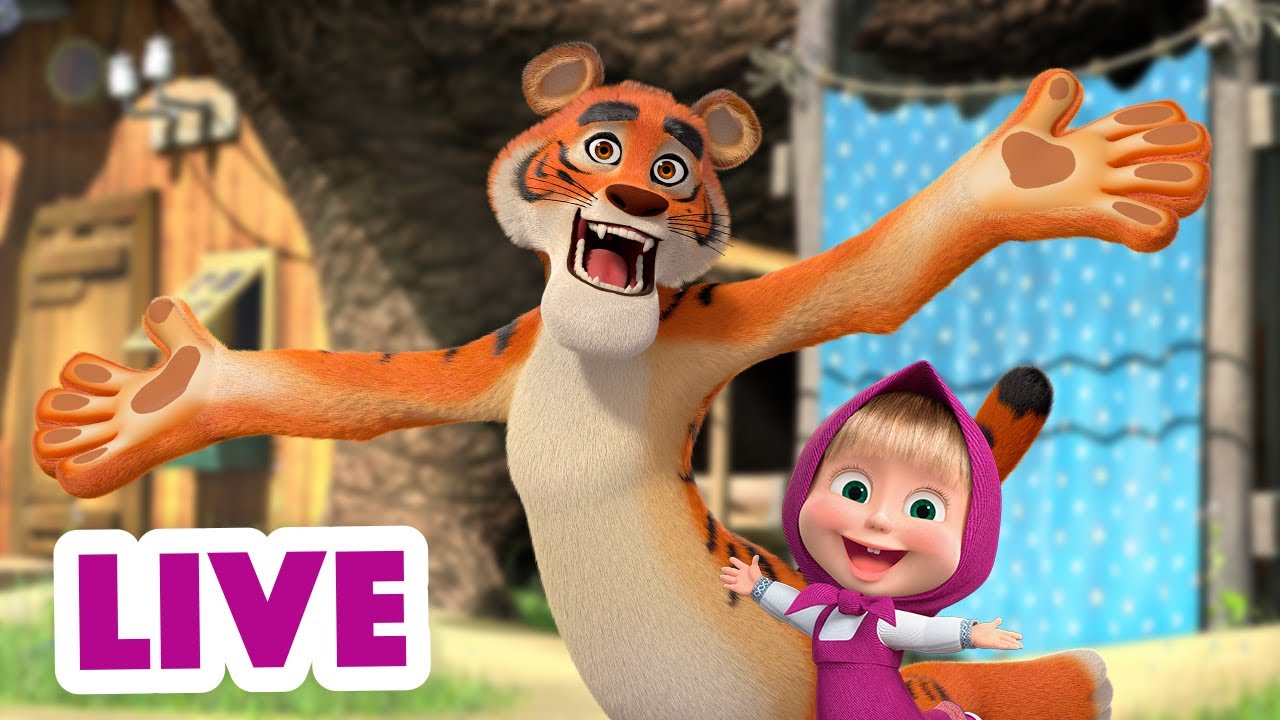 🔴 Live Stream 🎬 Masha And The Bear 🐻👱‍♀️ True Story 🐯🐭 Youtube 