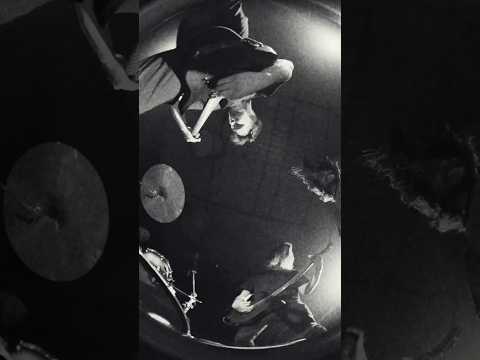 @ourcommoncollapse’s “Invertebrate” is OUT NOW!