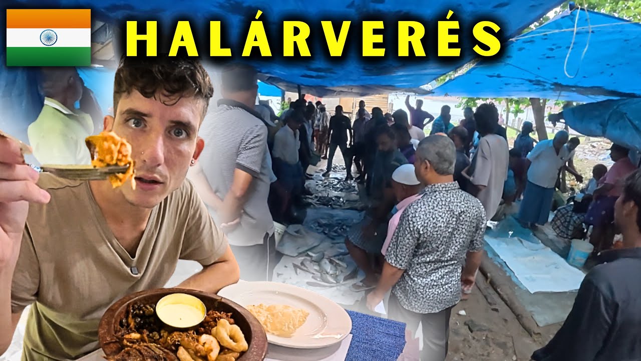 Őrült halárverés Indiában! 😳 Frissen kifogott halak, heves licitek és egy mennyei vacsora 🇮🇳 