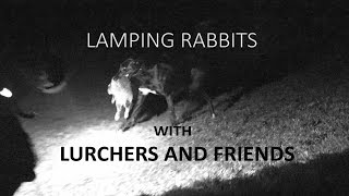 Joel takes his girlfriend lamping rabbits