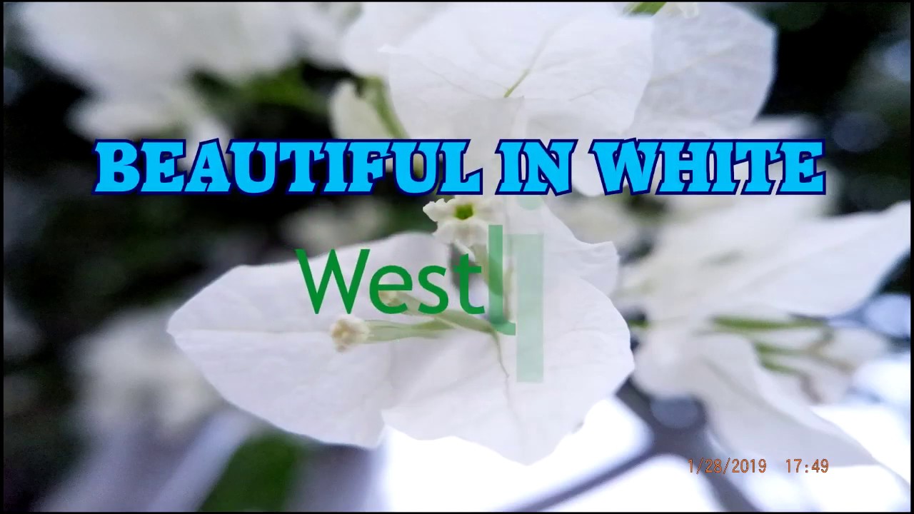 Beautiful in White KARAOKE by Westlife YouTube