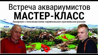 Мастер класс по запуску аквариума с мексиканскими карликовыми оранжевыми раками