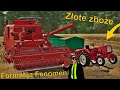 Formacja fenomen  zote zboe niwa 2022 wersja farming simulator 22