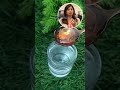 Doctor advise #drycough  #remedy #health #insta #cooking #foodie #ytshorts #recipe #trending #reels
