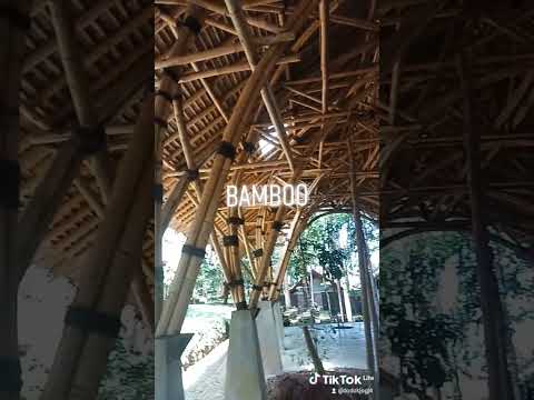 Aula dari Bambu