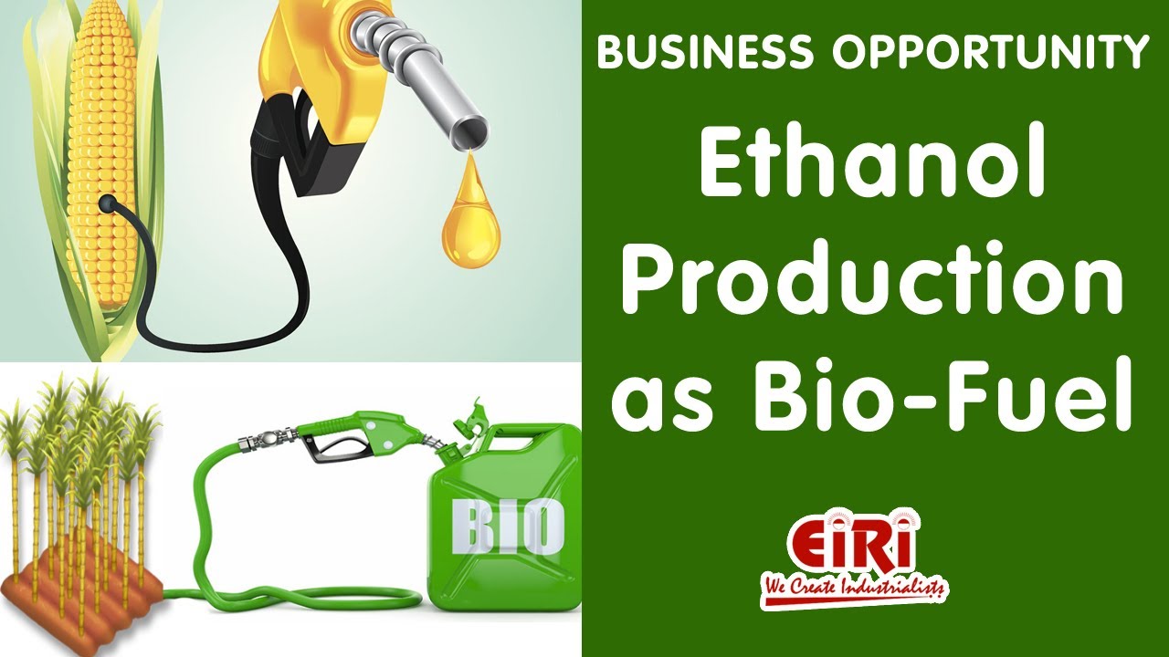 Ethanol Production as Bio Fuel Project Report Complete Process