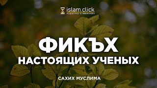 Фикъх настоящих учёных | Пользы из Сахиха Муслима. Абу Яхья Крымский