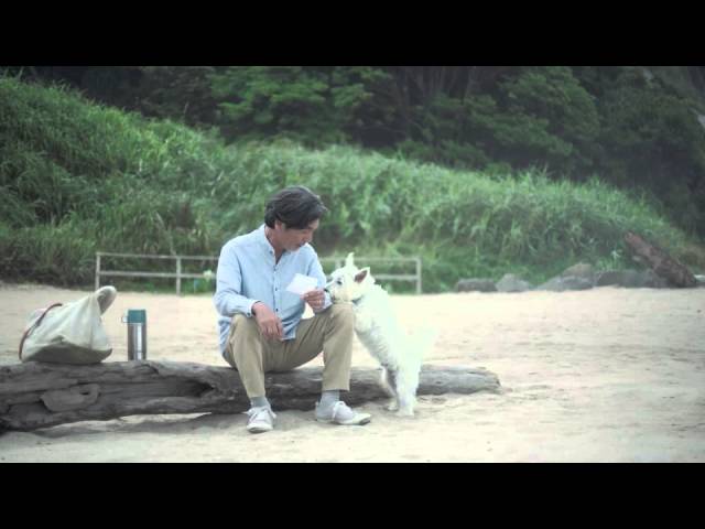 泣けるcm ウルッとくる 男性と犬のcm ドッグフード シーザー Youtube 泣けるcm ウルッとくる 男性と犬のcm ドッグフード シーザー Youtube