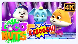 kaboochi fun dance music more songs kids loco nuts