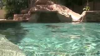 Diving Dog Maggie