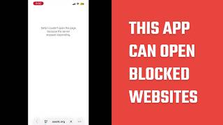 This Tiny App Makes Your Internet Faster & More Private | Custom DNS Net Worth