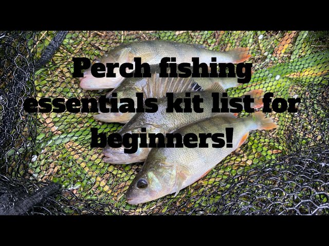 What do I need to start perch lure fishing? Complete kit list