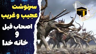 تاریخچه  اصحاب فیل /عجیب ترین سرنوشت سپاه ابرهه که به مرگ ختم شد.