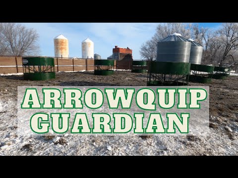 Does the Arrowquip Guardian No Waste Hay Feeder save hay? 6 WEEK REVIEW