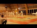 Dmonstration du club zazai taekwondo pour la nuit des arts martiaux   beauval