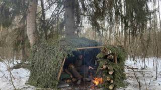 Winter Bushcraft Camp in Deep Snow with My Dog Berta | Primitive Forest Shelter