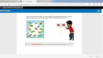 lesson 5-2 Count the number of objects in each category