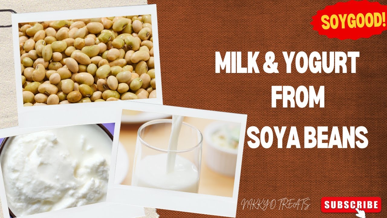 Soya milk and Soya yogurt Recipe #recipe #nikkyotreats 