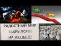 Для чего обрушили цену нефти...