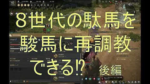 تحميل 黒い砂漠 馬 スキル上げ تحميل 黒い砂漠 馬 スキル上げ