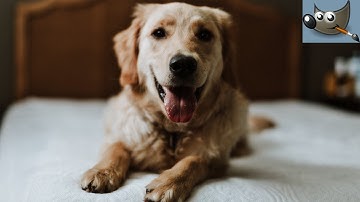 Simulate a Dodge and Burn Effect in Gimp