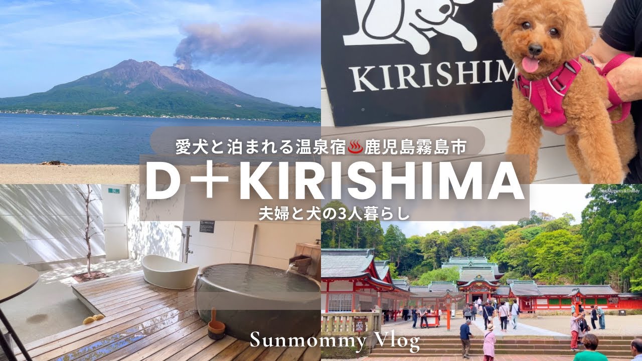 【旅行vlog】夫婦と愛犬で行く鹿児島霧島の旅D+KIRISHIMA♨️桜島絶景スポット🌋
