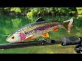 Fishing a trout swimbait for big bass