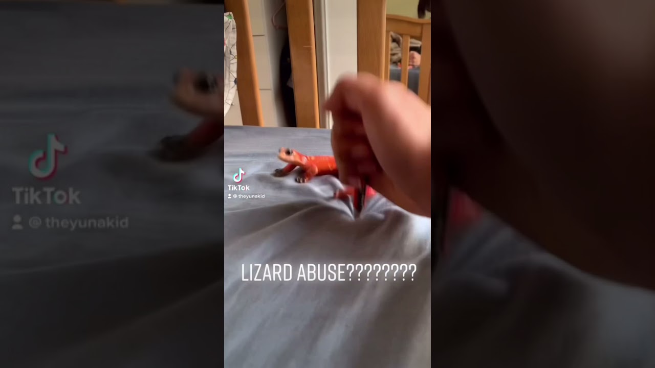 Watch Lizard abuse on YouTube Watch Lizard abuse on YouTube