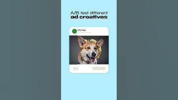 Hoe u meta-advertenties als een professional A/B-testt