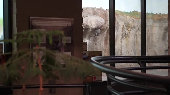 Local project anticipates loss of $10 million in state funding for building upgrades