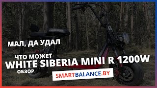 White Siberia MINI R 1200w - обзор и тест драйв Электроскутер с амбициями