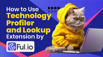 Technology Profiler and Lookup by Ful.io Tutorial | How to Use the Free Browser Extension [2024]