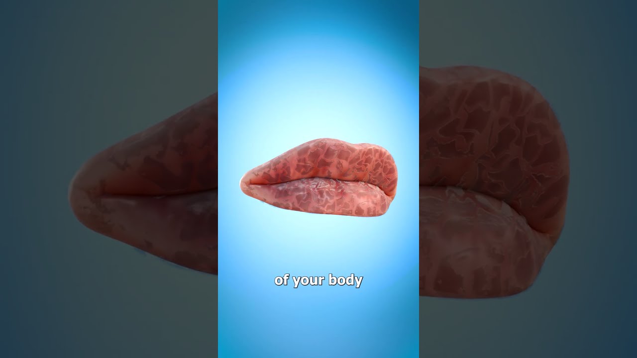 Why Our Lips Chap 
