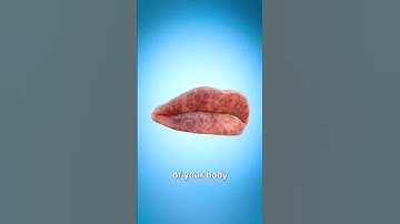 Why Our Lips Chap 😬