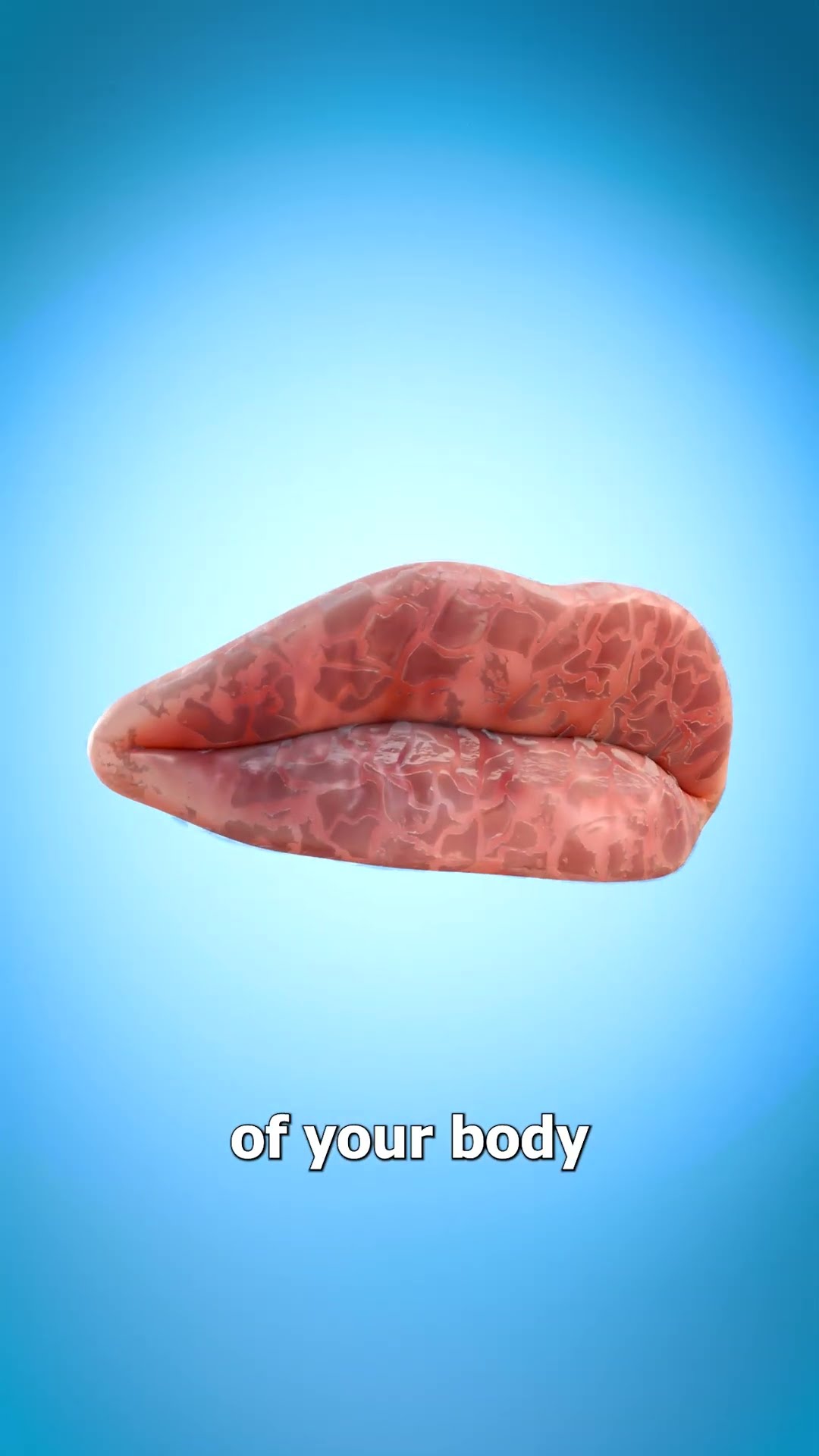 Why Our Lips Chap ?