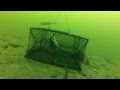 Crab Trap At 40ft With GoPro HD2 FAIL