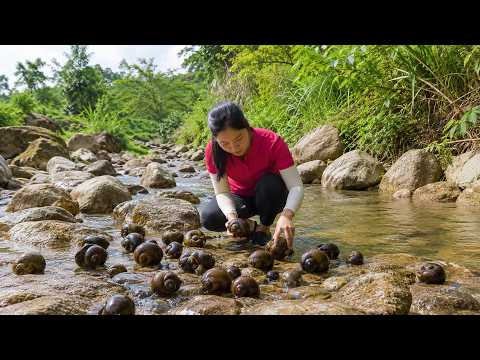 [TIMELAPSE] +61 Days Harvesting Rock Snails, Mangoes, Papayas,.. To Sell At The Market