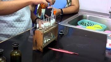 Benedict’s Test  for Reducing Sugars