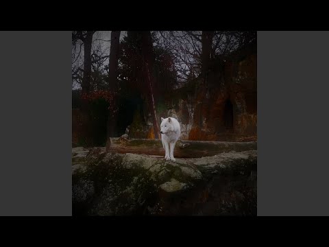 Salute` (Instrumental)