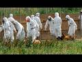 The Ghosts of Fukushima