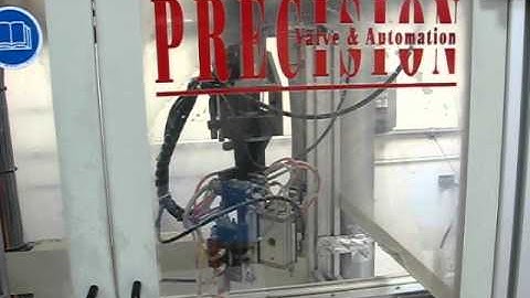 PVA 2000 EX Video 003.avi