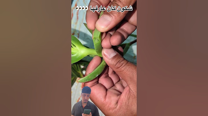 #اكسبلور #وصفه_تريند #راحة_نفسية #راحة_القلوب #تيك_توك #دويتو
