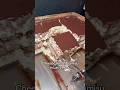 Best cheesecake &amp; tiramisu in Las Vegas #303inthecut #vegaseats #lasvegasfood #cheesecake #tiramisu