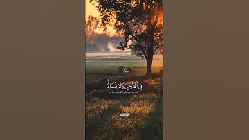 تلاوة خالدة للشيخ المنشاوي- من سورة القصص #قرآن #quran #تلاوات_خاشعة #المنشاوي #سورة_القصص #islamic