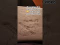 #roblox #lumity #theowlhouse #toh #viral #viralvideo #anime #art #animação #animation