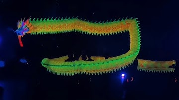 Thế Nghĩa Đường Tỉnh Đồng Tháp / Nhà Vô Địch Múa Rồng Dạ Quang Giải Lân Sư Rồng Toàn Quốc 2025