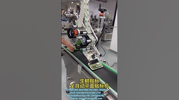 Fresh labeling, automatic flat labeling machine