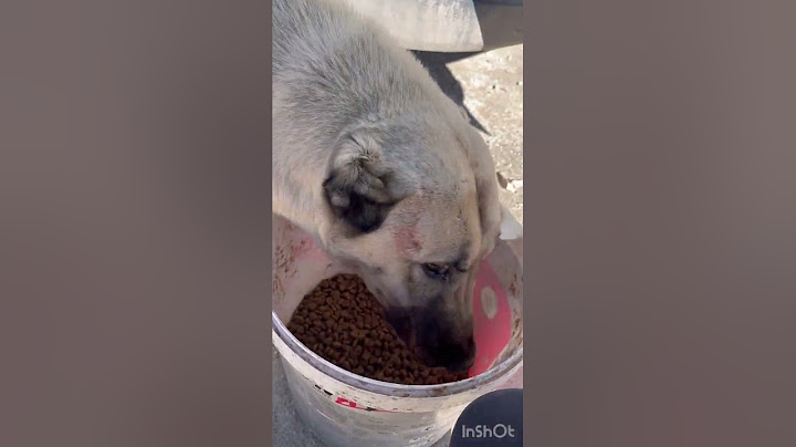 Yavruyu atarken farkettim tam o anda ağlayan bebeklerin sesine koştum bebekler açlıktan ağlıyor 🥲