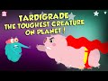 What Are Tardigrades? | The Strongest Creature Ever | The Dr Binocs Show | Peekaboo Kidz