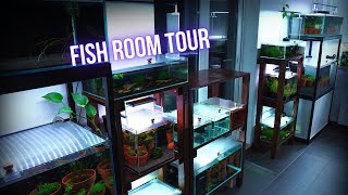 From DREAM to REALITY | FULL FISH ROOM TOUR of my new ONLINE FISH STORE